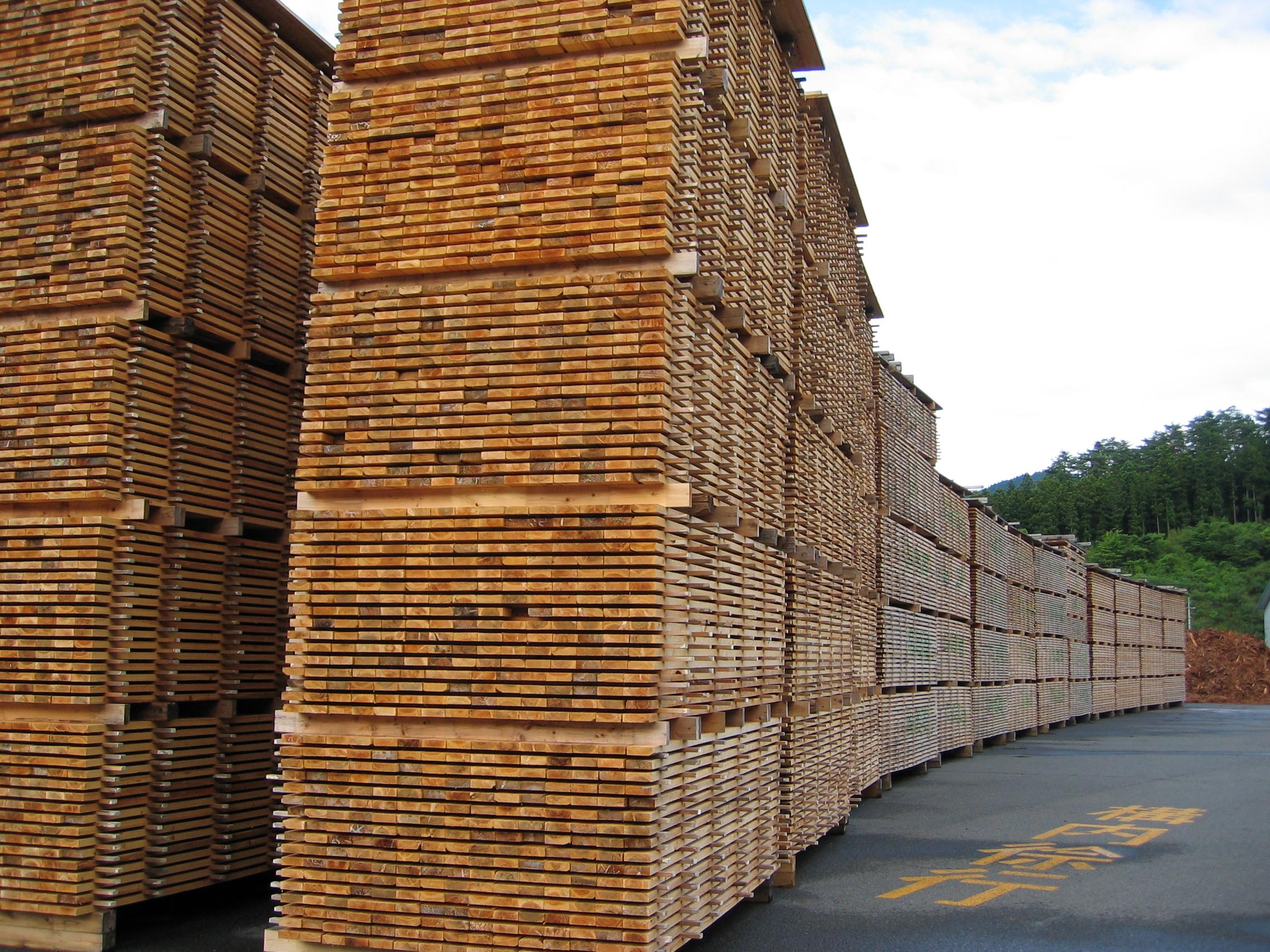 杉　人工乾燥を待つ杉板材半製品